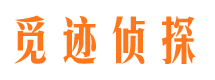 临西市私家侦探